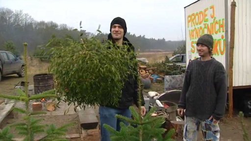 Ondřej Synek a vánoční stromek