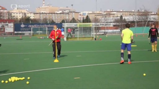 Hokejový život Tomáše Babického