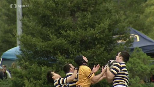 Celosvětový rozvoj ragby