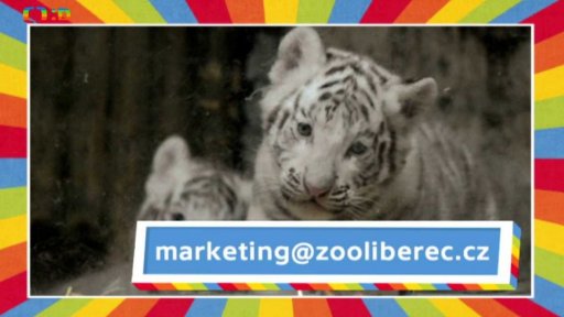 Křtiny v zoo Liberec - výzva