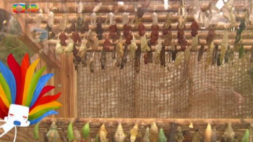 Výletní areál Diana