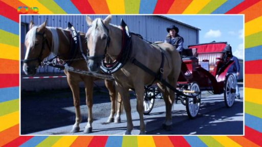 Slavnosti slunovratu