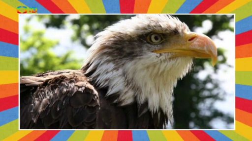 Den Národního parku Šumava