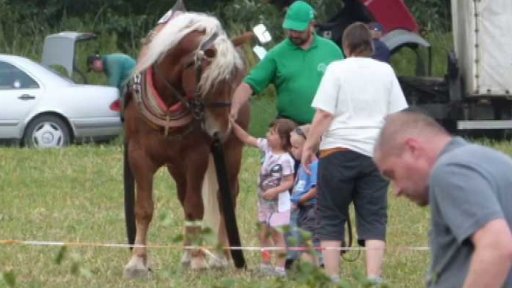 Vozatajské závody Rosice