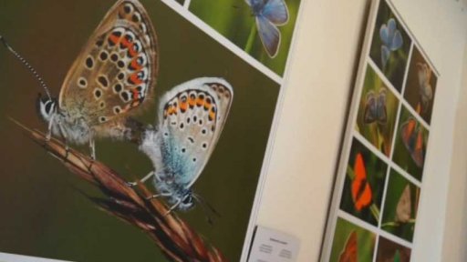 Motýlárium Votice a Záchranná stanice pro zvířata