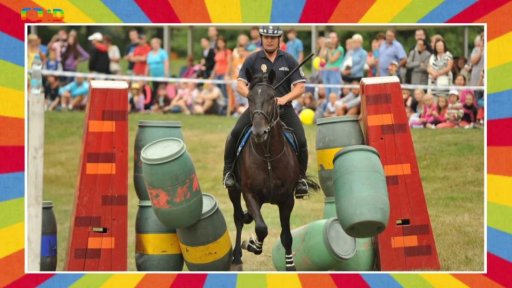 XIX. mezinárodní setkání jízdních policií v Ostravě