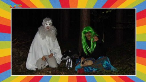 Noční strašidelný les v Jenišovicích