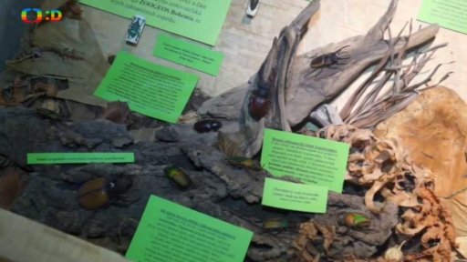 Exotická příroda v Protivíně