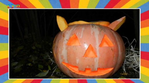 Halloween se zvířátky