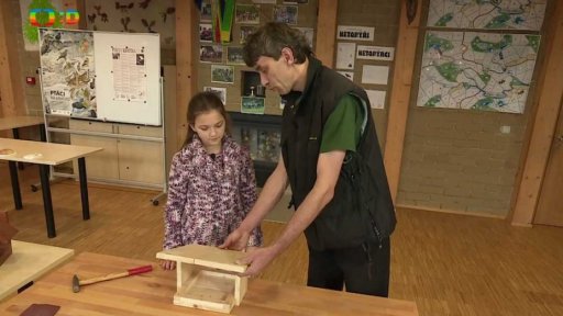 Příroda: Co dát ptákům do krmítka?