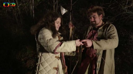 Společnost: Vikingové