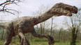 Příroda: Velociraptor