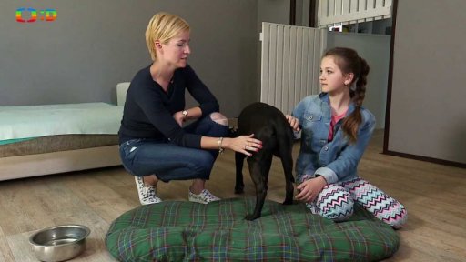 Příroda: Hotel pro zvířata