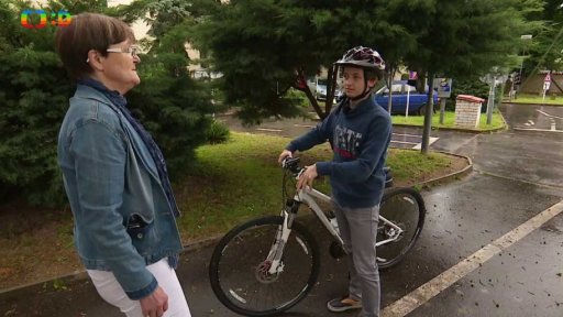 Společnost: Dopravní značení