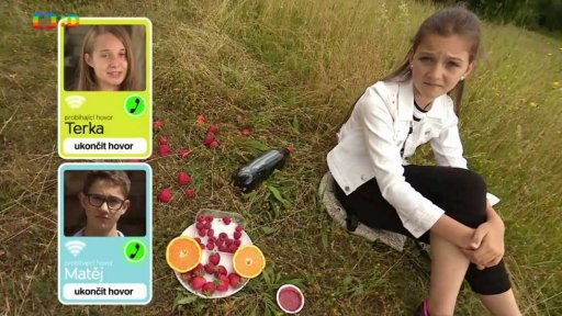 Příroda: Co víme o vosách?