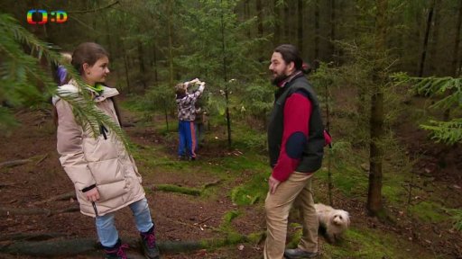 Příroda: Vánoční menu pro zvířata