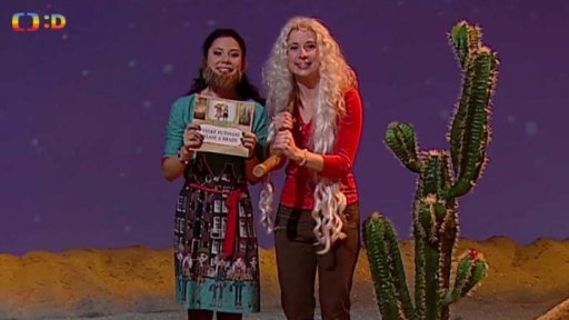 TýYova knihovna: František Skála - Velké putování Vlase a Brady