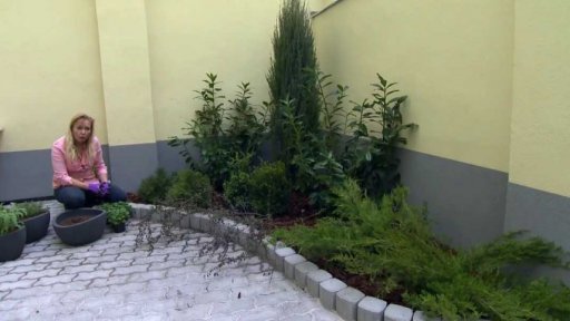 Jak zahradničit ve vnitrobloku