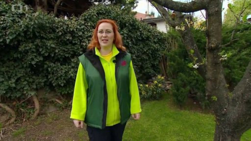 Trávník bez klíšťat