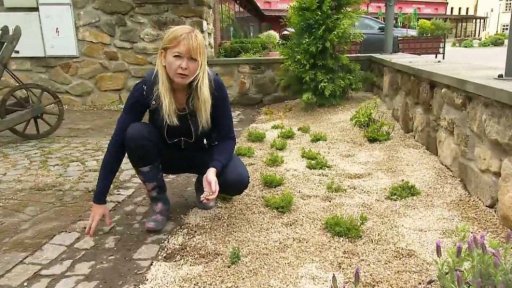 Minizahrádky u terasy