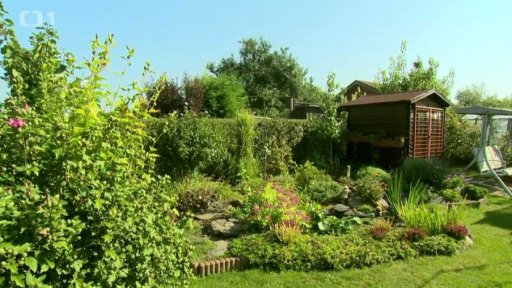 Jehličnany a okrasné dřeviny