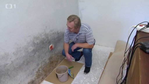 Jak na plíseň ve zdech