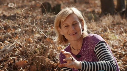 Na bylinky v březnu