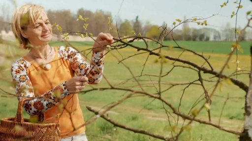 Na bylinky v dubnu II