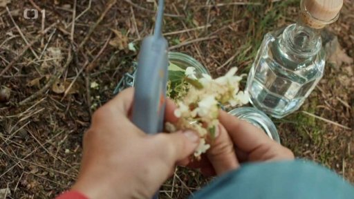 Tinktura z hlohových květů