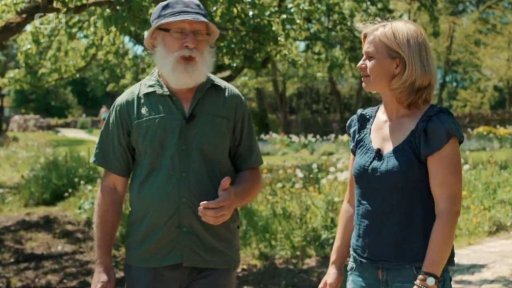 Pelyněk okem botanika