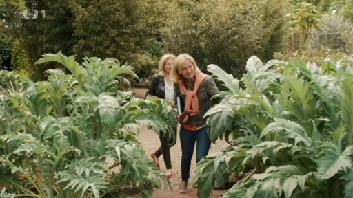 Bylinková zahrada v srdci Londýna