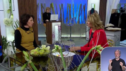 Domácí ekonomika - novinky 2016 - Lenka Vichnarová