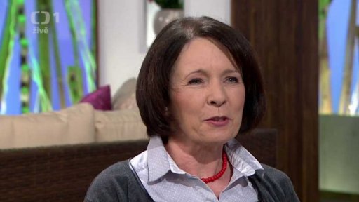 Domácí ekonomika - levné letenky - Lenka Vichnarová