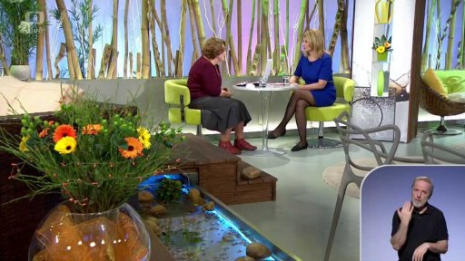 Co se děje s tuky při přípravě jídla - 2. část