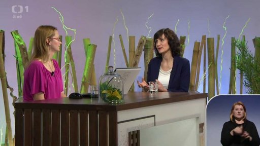 Centrum vývojové péče - 2. část