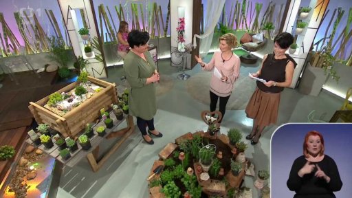 Bylinková zahrádka - 1. část + anketa