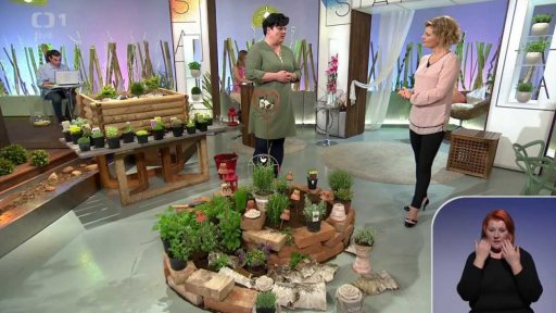 Bylinková zahrádka - 2. část + anketa a pozvánka