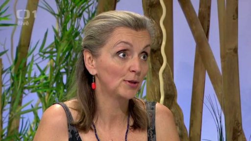 Prostřední a poslední dítě - 1. část