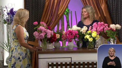 Květiny - péče o růže po létě - 1. část