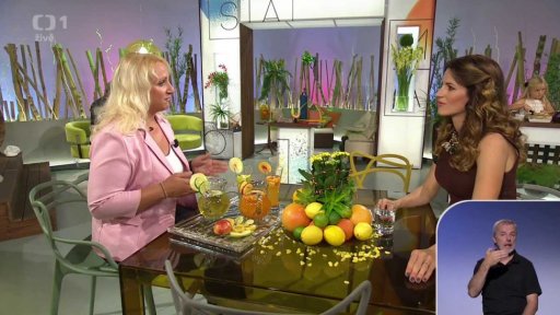 Test - domácí limonády v restauracích