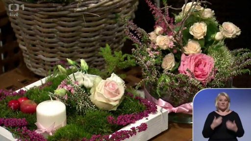 Veselé vřesy - 1. část