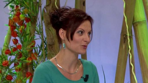 Logopedie pro dospělé - 1. část