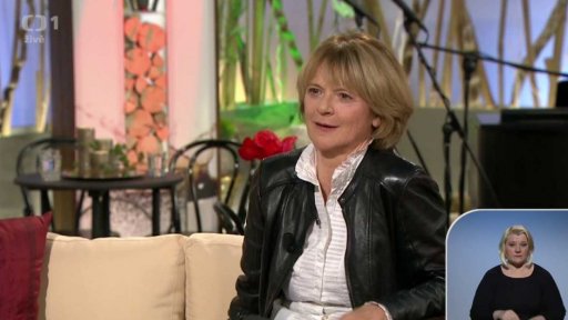 Táňa Medvecká, Martin Dejdar a Petr Vacek