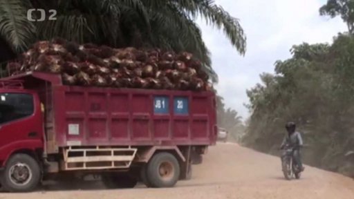 Lestari chrání tropickou přírodu