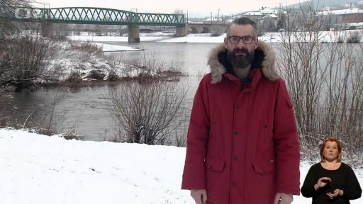 Ve znečištěném Labi trpí živočichové