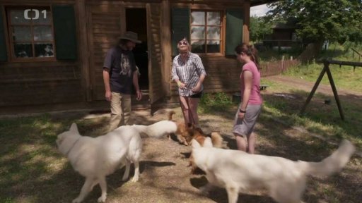 Zlobivá Sofie: seznámení s koučem