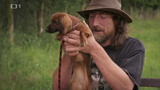 Zlobivá Sofie: triky a rady