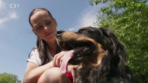 Útočný Koky: v čem je problém?