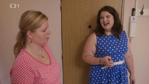 Rozhádané kočky Tečka a Tygřík: triky a rady