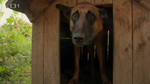 Bojácný Axík: v čem je problém?